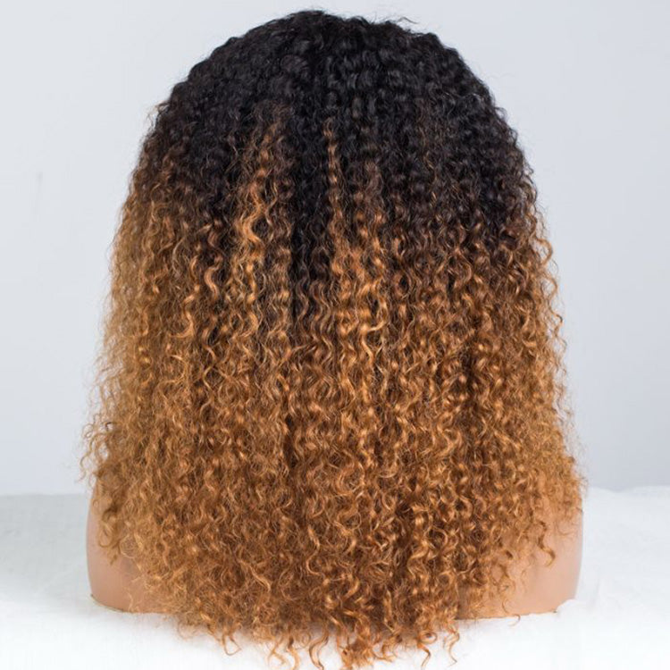 Hot Star Golden Legend Ombre Colored Glueless Curly Lace Wig