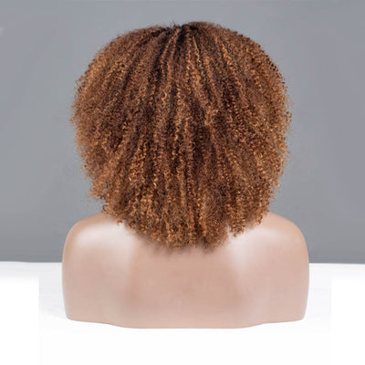 Milk Chocalate Ombre Short Coily Glueless Wig-034